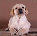 IMG_0660nv