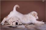 IMG_0696nv